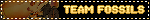 TEAM FOSSILS 2
